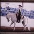 Western Pleasure and Trail riding