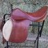 Original Stubben Siegfried 31