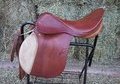 Original Stubben Siegfried 31