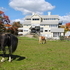 Landmark Farm 4U? 