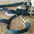 3 draft halters for 1600+