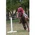 quick little gaming mare aims to please!