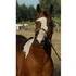 Gorgeous Paint Stallion Standing At Stud