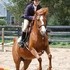 Forward, easy backyard, gaming or evening pony