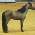 Show Stallion, Double Reg, 2 YR. OLD 