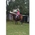 4yo qh mare. Trotting barrel pattern!