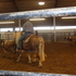 Fun Pony - Versatile-Sound-Broke-Halflinger Mare DOES COWS