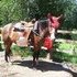 Imagine you riding Rain Dancer!