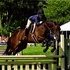 Successful hunter and equitation mare 'A' circuit experience!