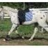 Get the judges attention- make offer