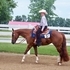 Double registered youth mare