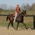 unraced, registered 3 yr old TB mare *video*