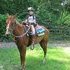 Safe 2 yr old Stallion