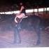 Percheron Gelding Looking for work.
