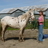 Flashy Leoapard Gelding
