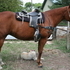 Black Western Saddle 