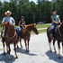 Awesome 2003 APHA Mare