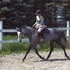Made for the hunter ring
