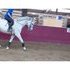 Awesome mare -video available