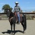 TRAVELING MOUNTAIN HORSE