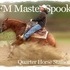  Smart Spook Derby Reining gelding