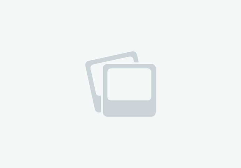 Beautiful Mare with Great Show Potential