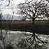 43.444 Acres Available