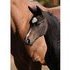 Premium Filly