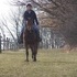 TALENT DANCER 2 YEAR OLD FILLY PA. BRED