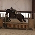 Big Bodied TB- Beautiful Mover