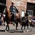 Solid Paint Ranch/Trail Gelding