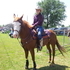 Bald Face Barrel Mare 