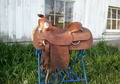 14.5 Reining or Pleasure 