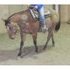 4 year old dunn mare!