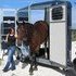 Provan Premium with tack locker