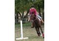 quick little mare aims to please!