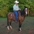 Registered Arabian Mare **REDUCED**