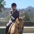 Lovely Buckskin Mare
