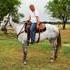 Exceptional Talented Flashy Grade Gelding