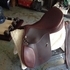 17' Union Hill Masters Saddle JV