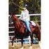 Gorgeous Sound Peruvian mare- CHEAP!