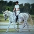 Cute Grey Draft Cross