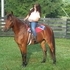 Broke to Ride