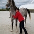 Inspected and Approved Imported Proven German Shagya Stallion