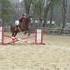 fox hunting, hunter paces, or eventing
