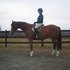 *Very Sweet* High Potential Hunter by Asher