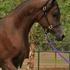 Gorgeous DaVinci son