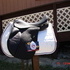 17.5MW Black Country Celeste Endurance Saddle Saddle