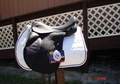 17.5MW Black Country Celeste Endurance Saddle Saddle