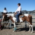 Kid Safe Team Sorting Mare